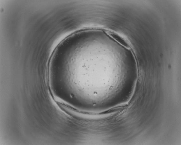 X0000061731295200512091535