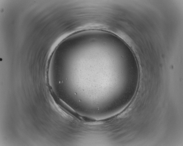 X0000061731296200512091535