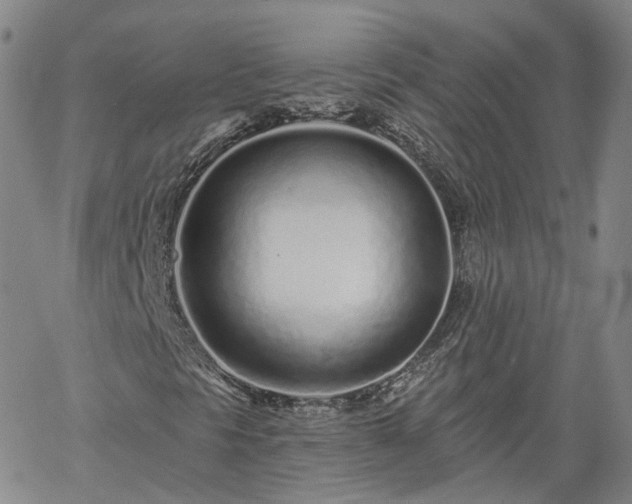 X0000061731297200512091535