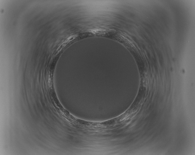 X0000061731298200512091535