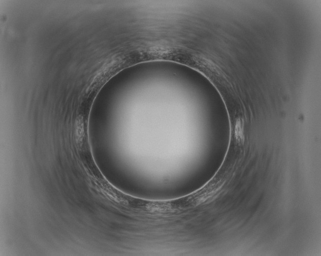 X0000061731299200512091535