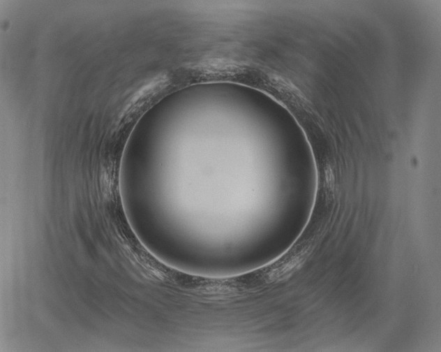 X0000061731300200512091535