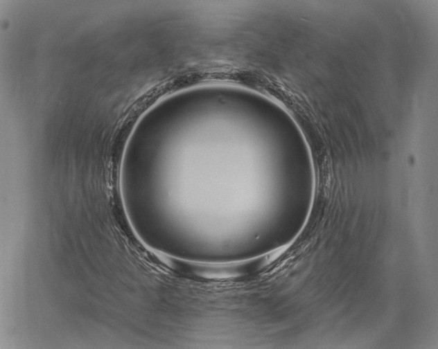 X0000061731301200512091535