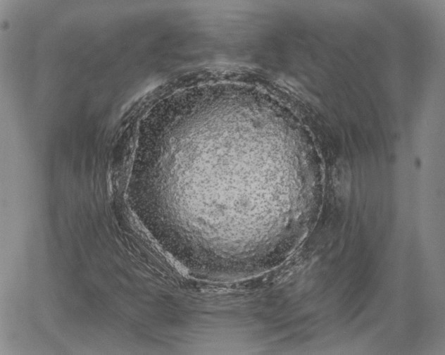 X0000061731302200512091535