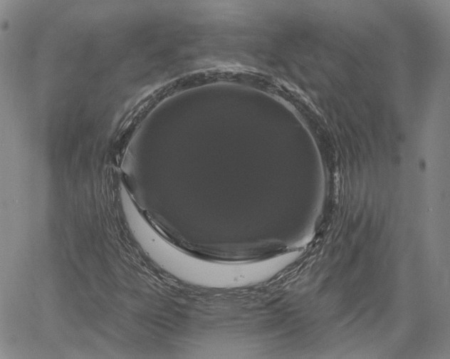 X0000061731303200512091535