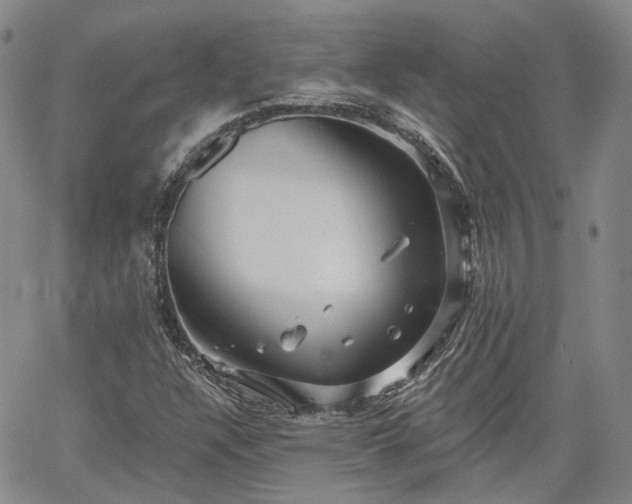 X0000061731304200512091535