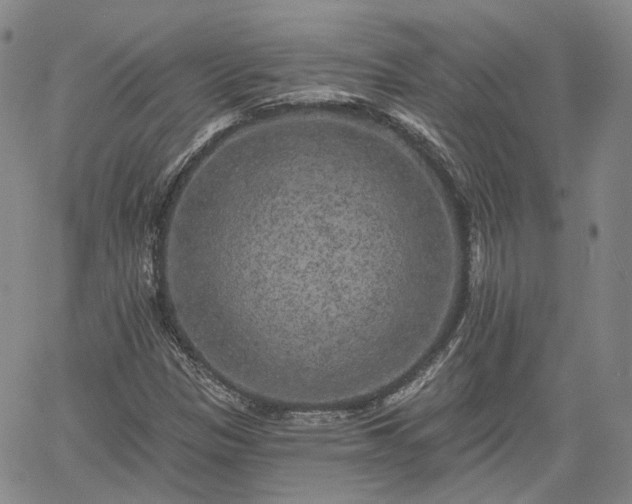 X0000061731305200512091535