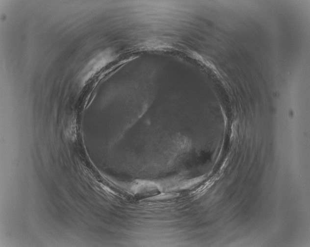 X0000061731306200512091535