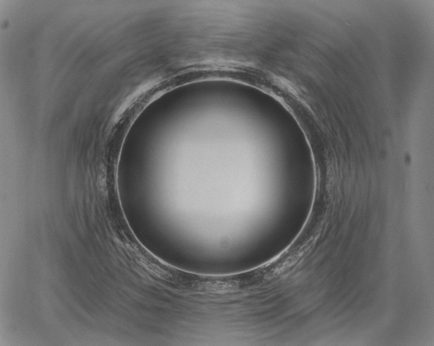 X0000061731307200512091535