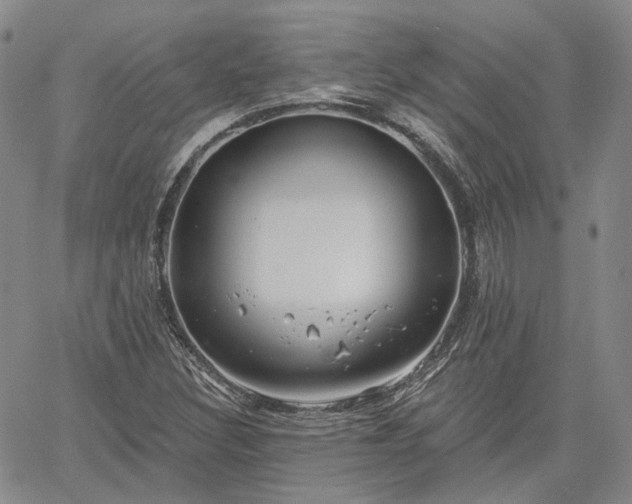 X0000061731308200512091535