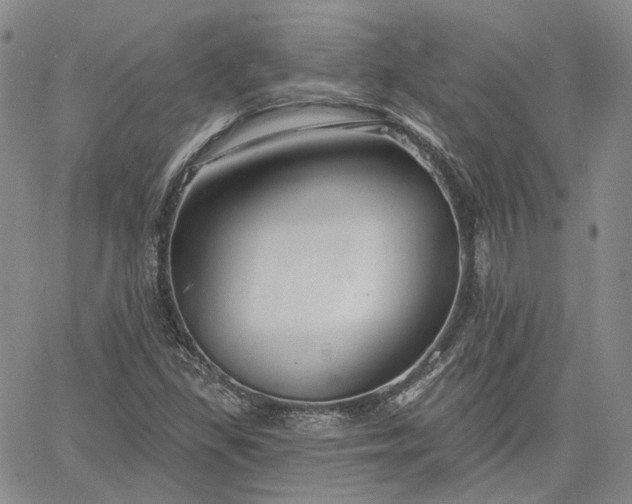 X0000061731309200512091535