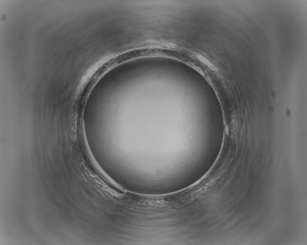 X0000061731310200512091535