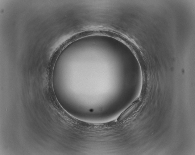 X0000061731311200512091535