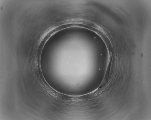 X0000061731312200512091535