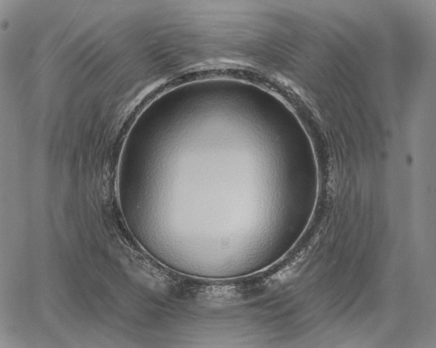 X0000061731313200512091535