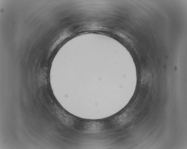 X0000061731314200512091535