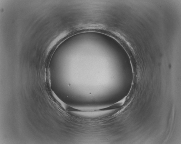 X0000061731317200512091535