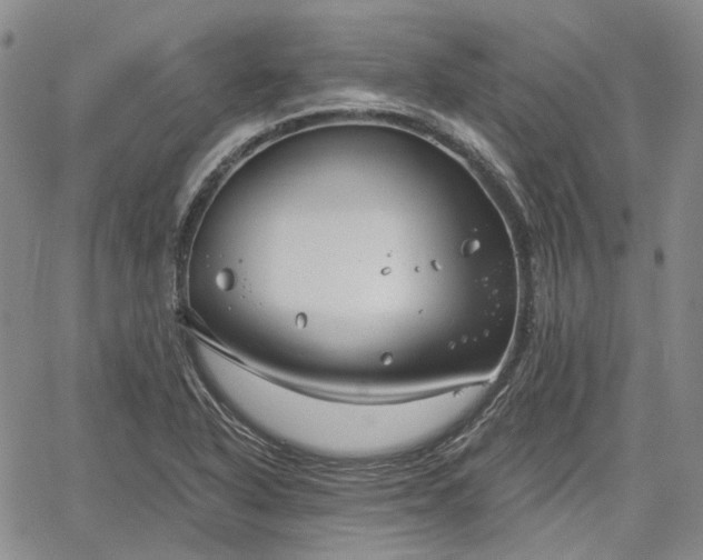 X0000061731318200512091535