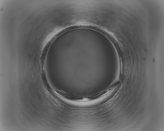 X0000061731319200512091535