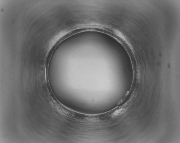 X0000061731320200512091535