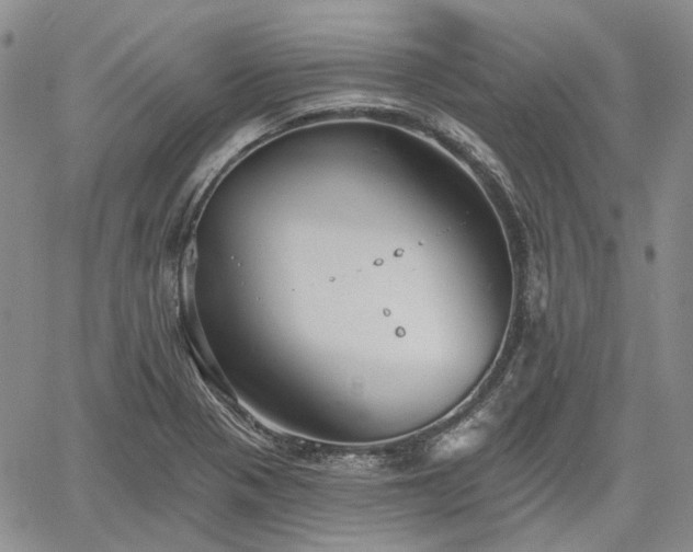 X0000061731321200512091535