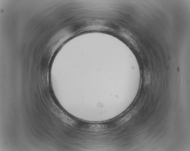 X0000061731322200512091535