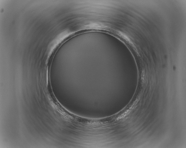 X0000061731323200512091535