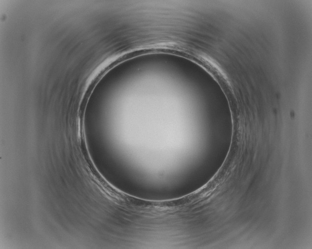 X0000061731324200512091535