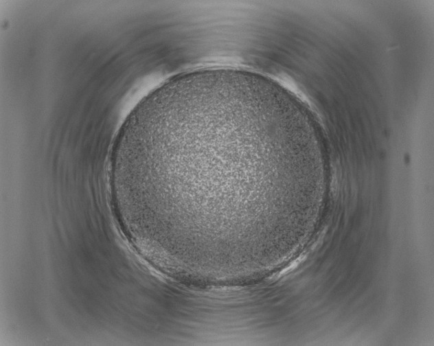 X0000061731325200512091535