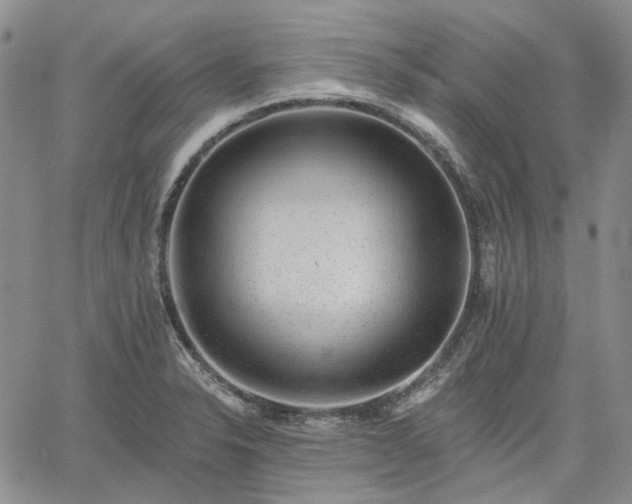 X0000061731326200512091535