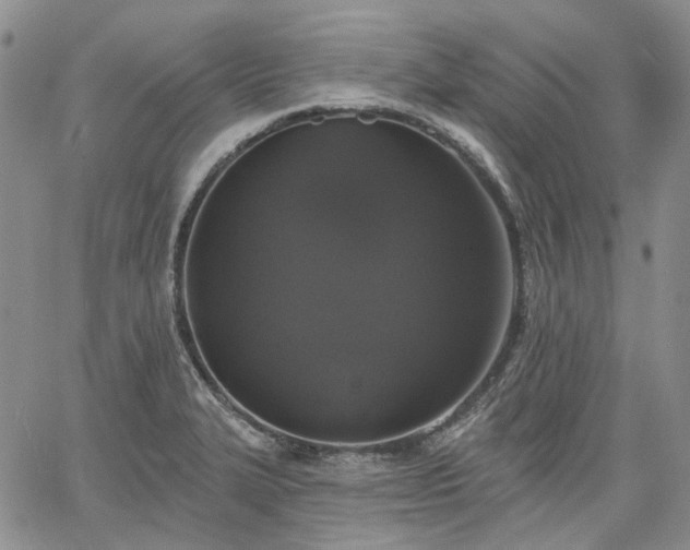 X0000061731327200512091535