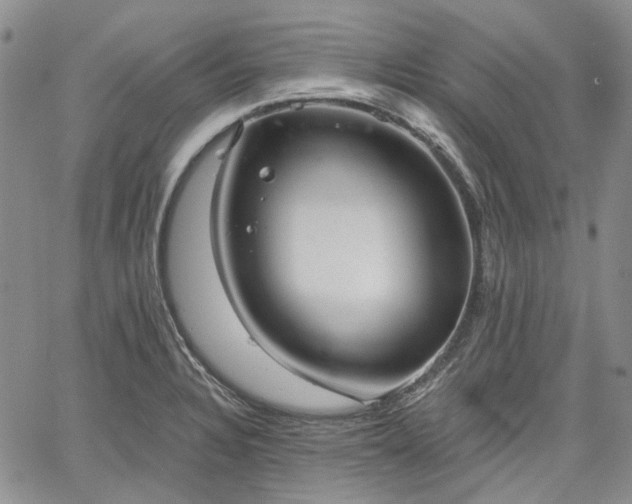 X0000061731328200512091535