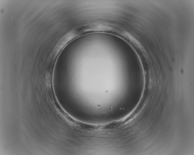 X0000061731329200512091535