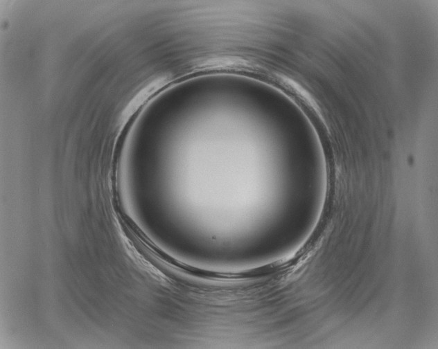 X0000061731330200512091535