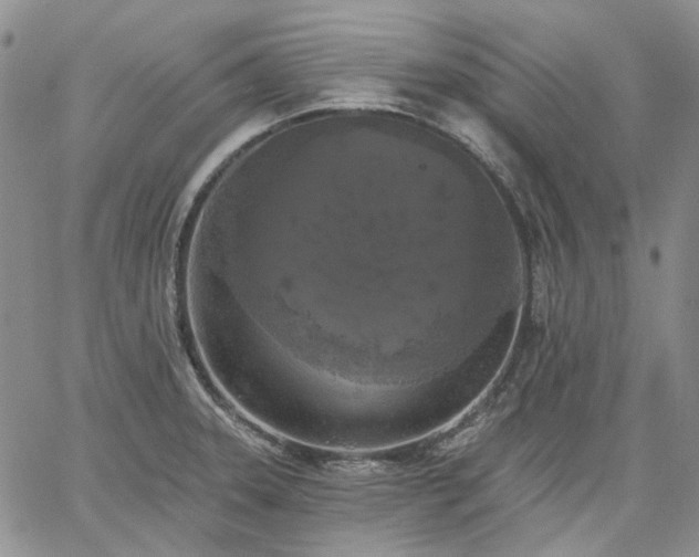 X0000061731331200512091535