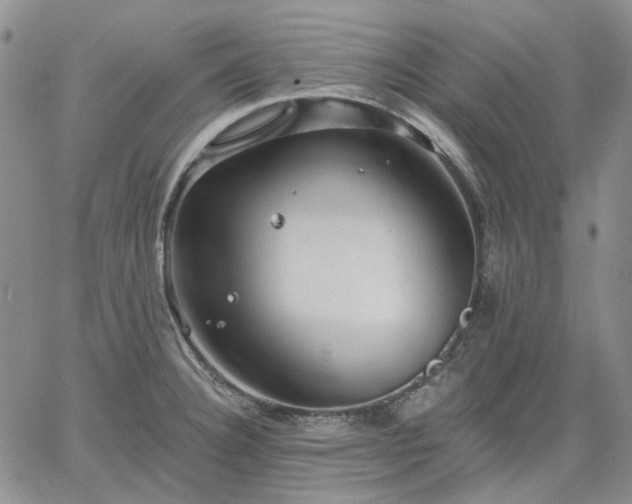 X0000061731332200512091535