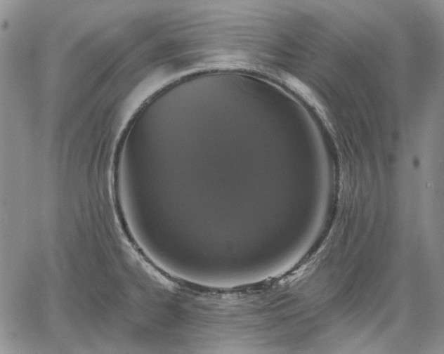 X0000061731334200512091535