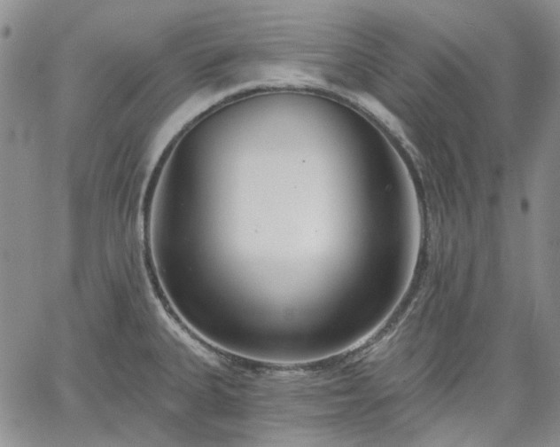 X0000061731335200512091535