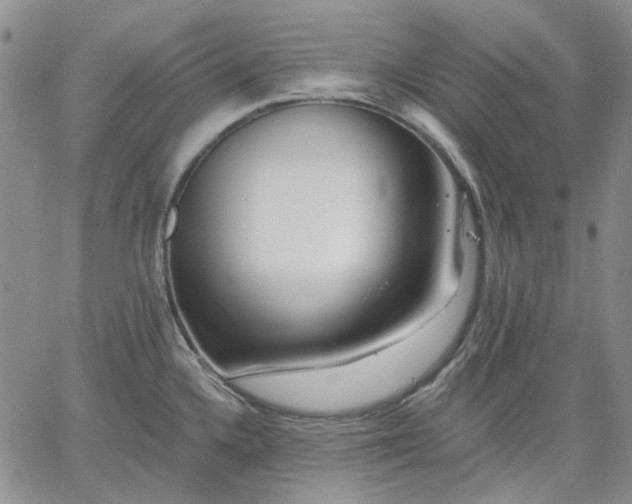 X0000061731336200512091535