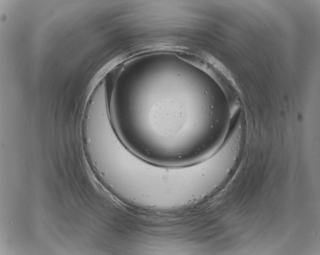 X0000061731338200512091535