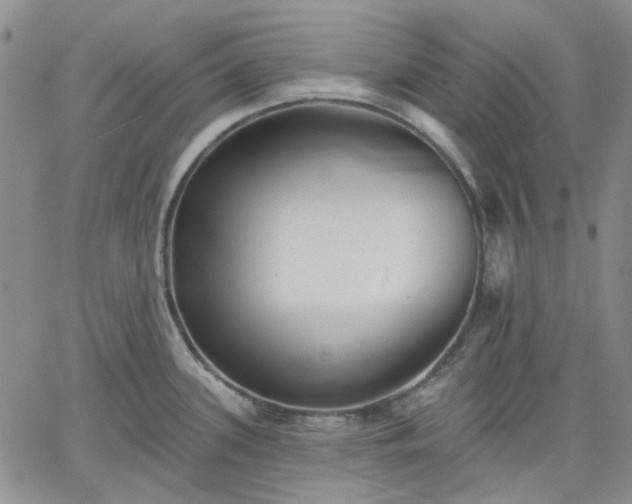 X0000061731339200512091535