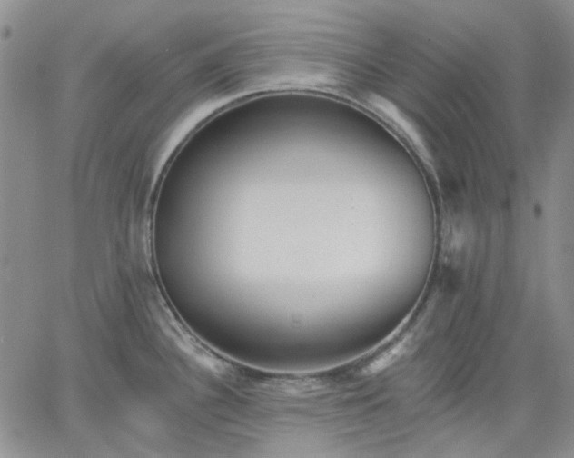 X0000061731340200512091535