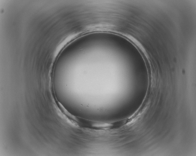 X0000061731341200512091535