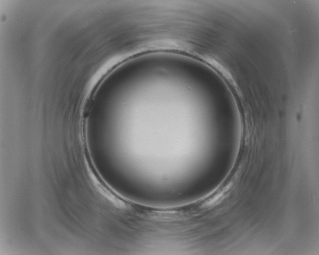 X0000061731342200512091535