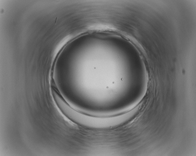 X0000061731343200512091535