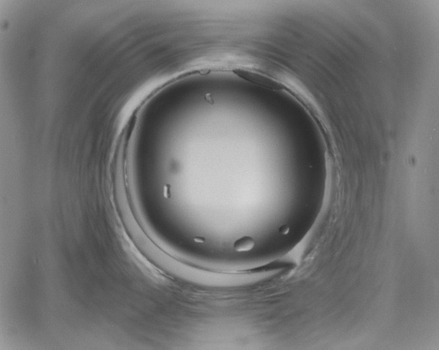 X0000061731344200512091535