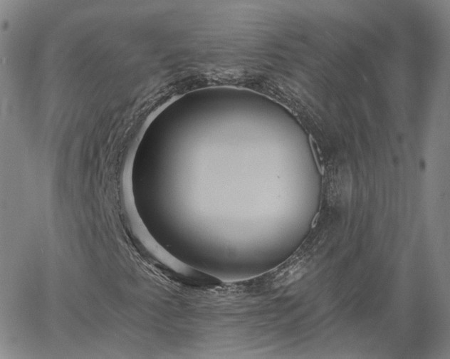 X0000061731345200512091535