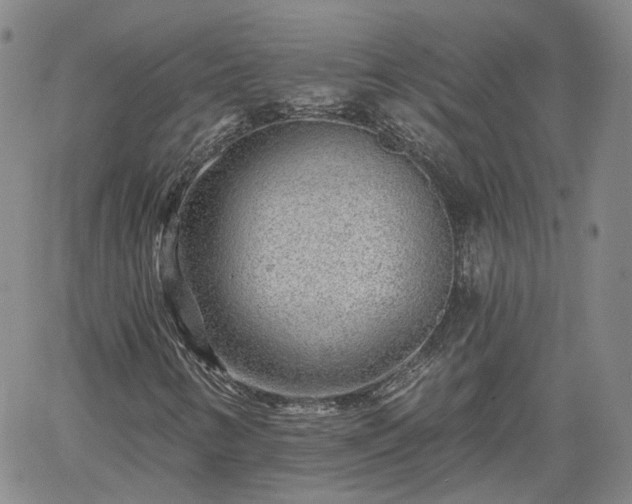 X0000061731346200512091535