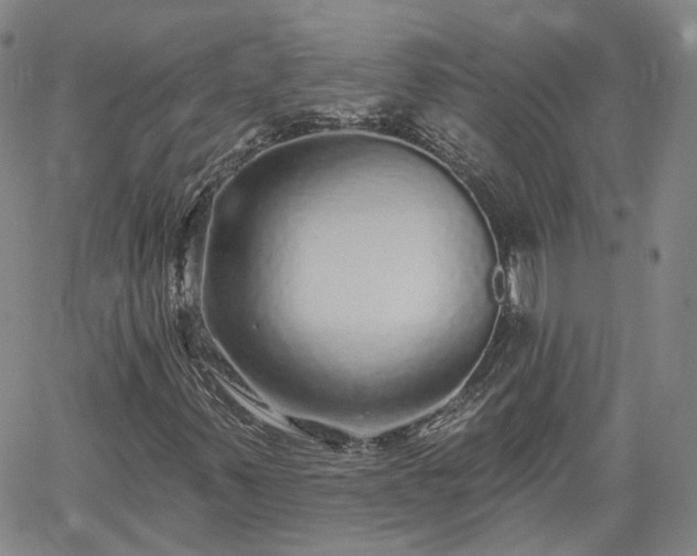 X0000061731347200512091535