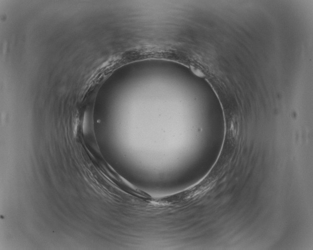 X0000061731348200512091535